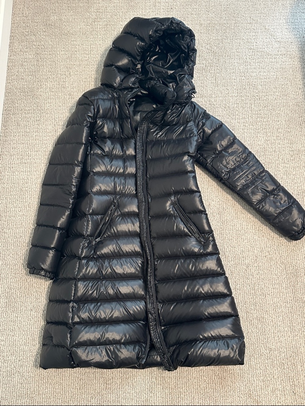 Aritzia Babaton Hudson Jacket